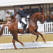 Hermes, jag & Cilla