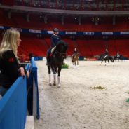 Äventyret i Globen 2011