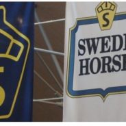 Hingstklass på Bruksprovet