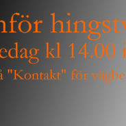 Info om hingstvisning den 6/4 klockan 14.00