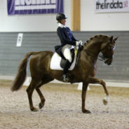 Hermes debuterar i Grand Prix