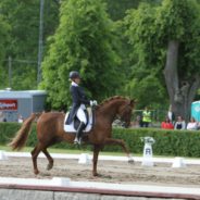GP succé