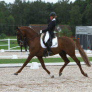Hermes vinner GP i Laholm