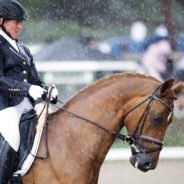 Fina ritter i Falsterbo