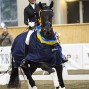 Diva – en vinnare