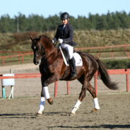 Avel och sport. Till salu!