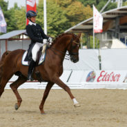 Internationell GP-debut