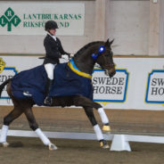Breeders Trophy 2014
