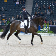 Säsongsfinal i Stockholm